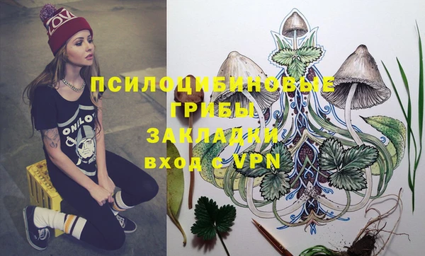 PSILOCYBIN Остров