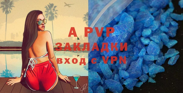 гидра Ессентукская